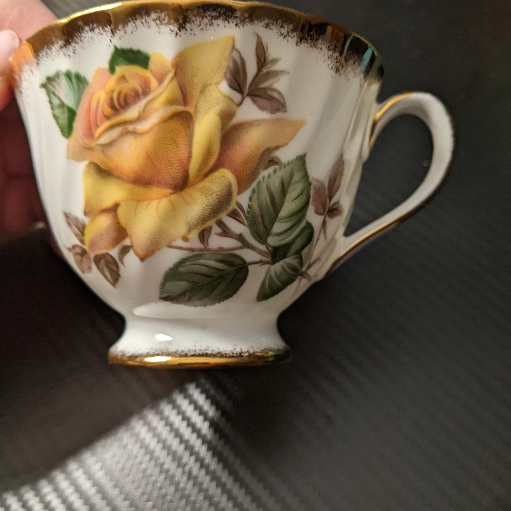 Adderley Minerve Teacup